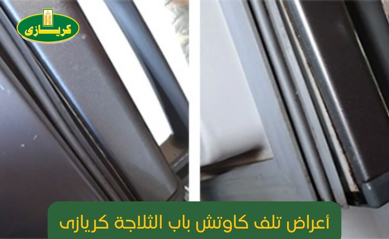 أعراض تلف كاوتش باب الثلاجة كريازى