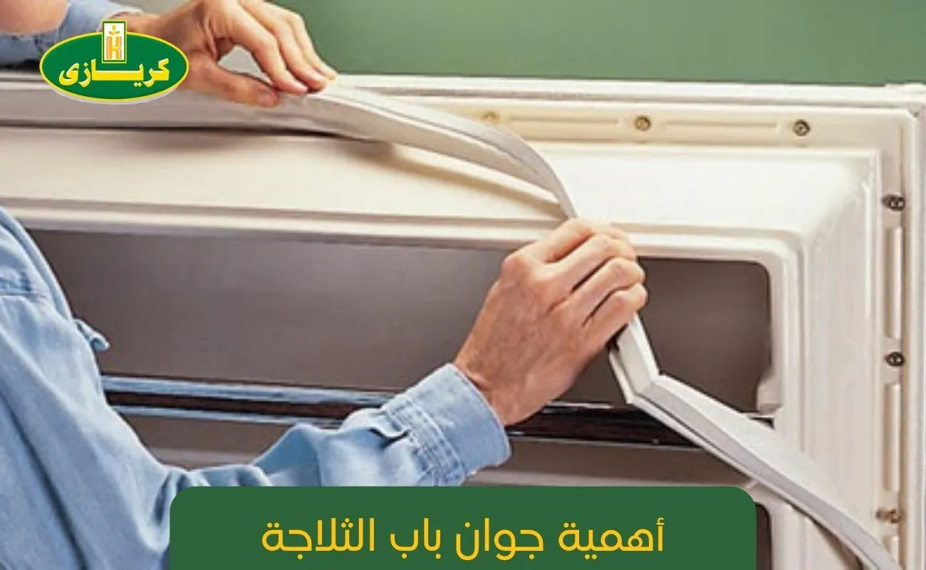 أهمية جوان باب الثلاجة